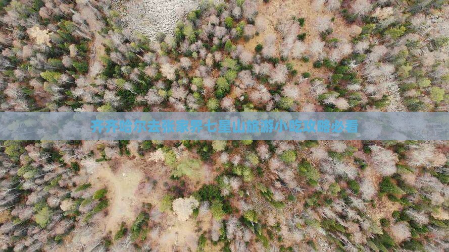 齐齐哈尔去张家界七星山旅游小吃攻略必看