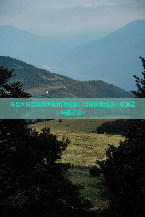 乌鲁木齐至张家界武陵源旅游，如何探索地道小吃满足味蕾之旅？