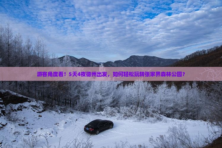游客角度看！5天4夜德州出发，如何轻松玩转张家界森林公园？