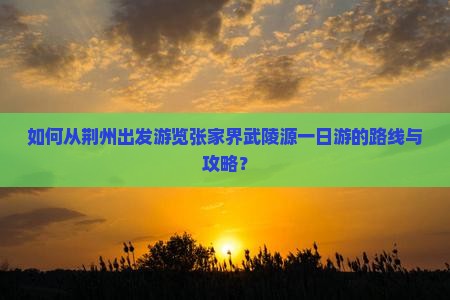 如何从荆州出发游览张家界武陵源一日游的路线与攻略？