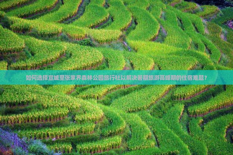 如何选择宣城至张家界森林公园旅行社以解决暑期旅游高峰期的住宿难题？