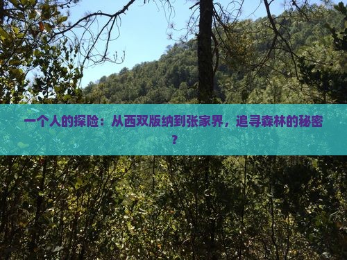 一个人的探险：从西双版纳到张家界，追寻森林的秘密？
