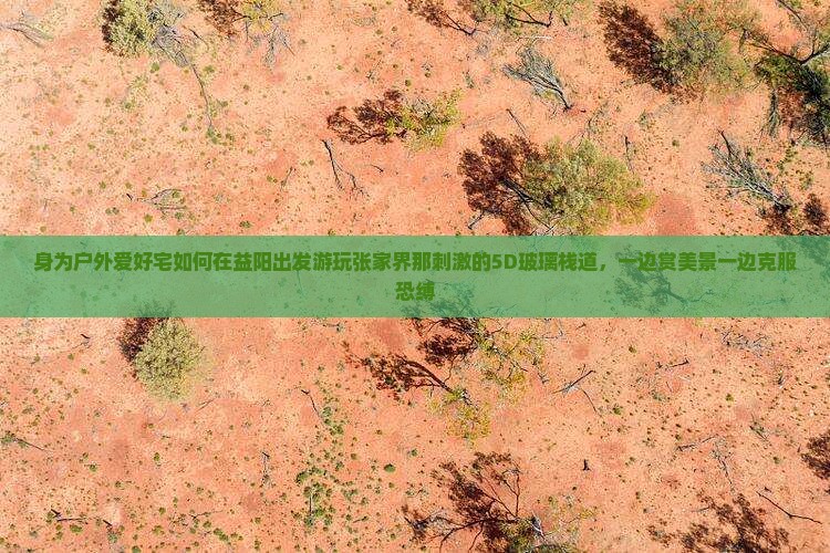 身为户外爱好宅如何在益阳出发游玩张家界那刺激的5D玻璃栈道，一边赏美景一边克服恐缚