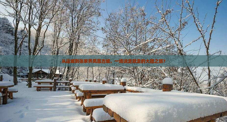 从运城到张家界凤凰古城，一场说走就走的大团之旅？