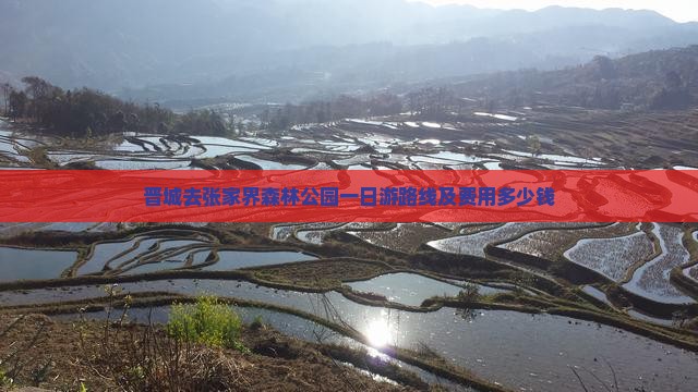 晋城去张家界森林公园一日游路线及费用多少钱