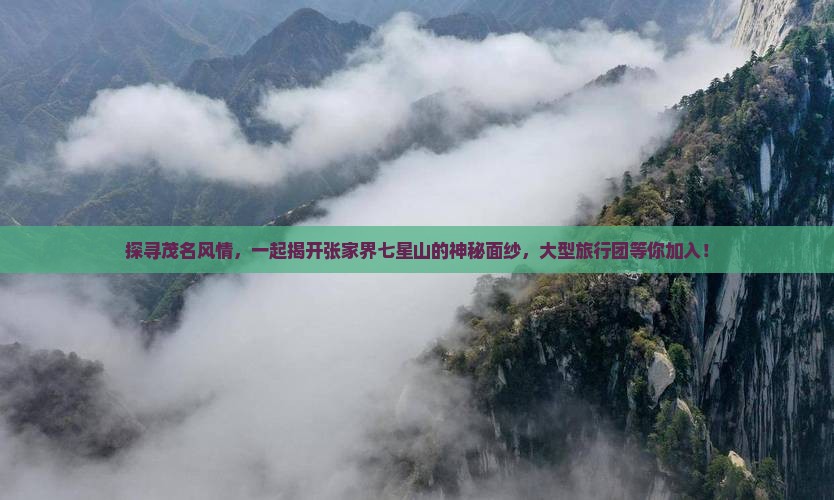 探寻茂名风情，一起揭开张家界七星山的神秘面纱，大型旅行团等你加入！