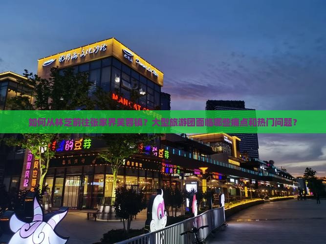如何从林芝前往张家界芙蓉镇？大型旅游团面临哪些痛点和热门问题？