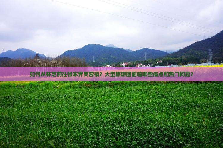 如何从林芝前往张家界芙蓉镇？大型旅游团面临哪些痛点和热门问题？