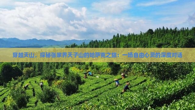 穿越天山，探秘张家界天子山的哈萨克之旅：一场自由心灵的深度对话