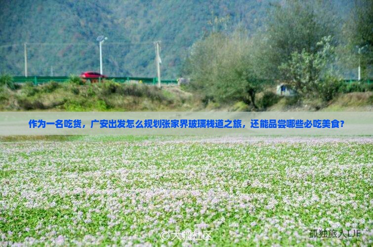 作为一名吃货，广安出发怎么规划张家界玻璃栈道之旅，还能品尝哪些必吃美食？
