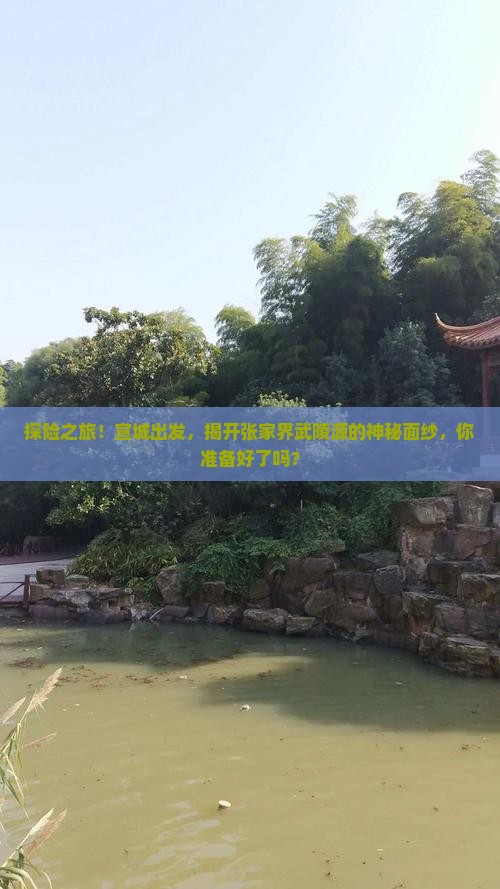 探险之旅！宣城出发，揭开张家界武陵源的神秘面纱，你准备好了吗？