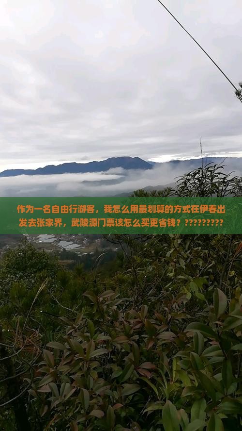 作为一名自由行游客，我怎么用最划算的方式在伊春出发去张家界，武陵源门票该怎么买更省钱？?????????