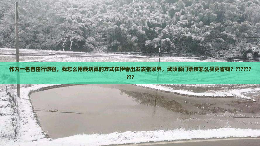 作为一名自由行游客，我怎么用最划算的方式在伊春出发去张家界，武陵源门票该怎么买更省钱？?????????