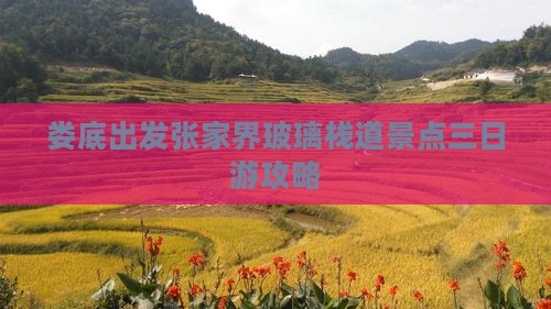 娄底出发张家界玻璃栈道景点三日游攻略