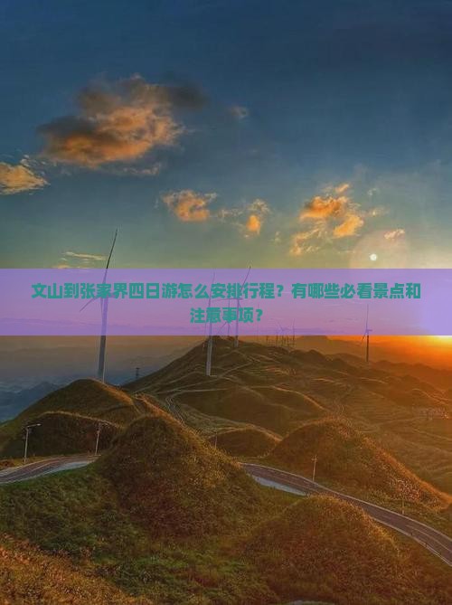 文山到张家界四日游怎么安排行程？有哪些必看景点和注意事项？
