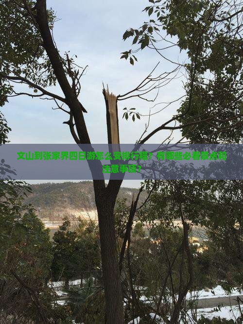 文山到张家界四日游怎么安排行程？有哪些必看景点和注意事项？