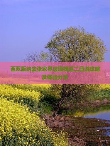 西双版纳去张家界玻璃栈道二日游攻略及体验分享