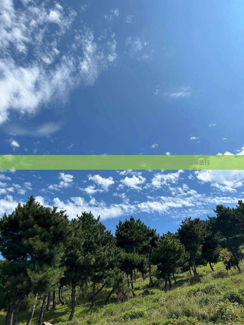 张家界旅游七日游攻略_景点自由行信息_凤凰古城端午节旅行社国际旅行