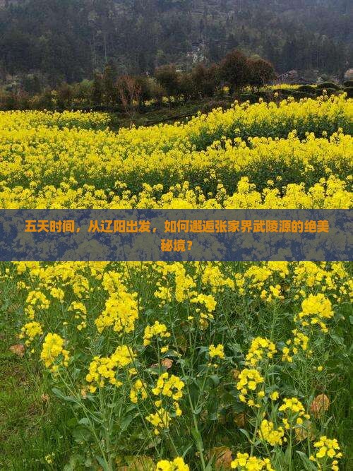 五天时间，从辽阳出发，如何邂逅张家界武陵源的绝美秘境？
