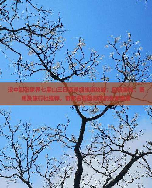 汉中到张家界七星山三日游详细旅游攻略，包括路线、费用及旅行社推荐，带你看看国际范的张家美景