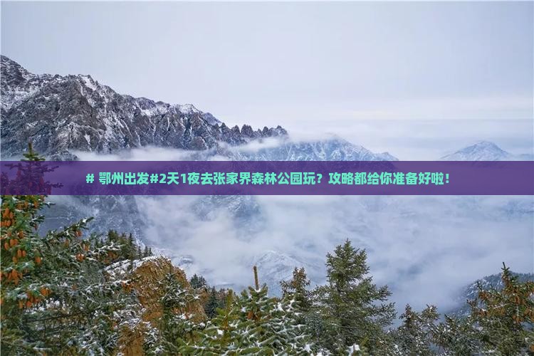 # 鄂州出发#2天1夜去张家界森林公园玩？攻略都给你准备好啦！