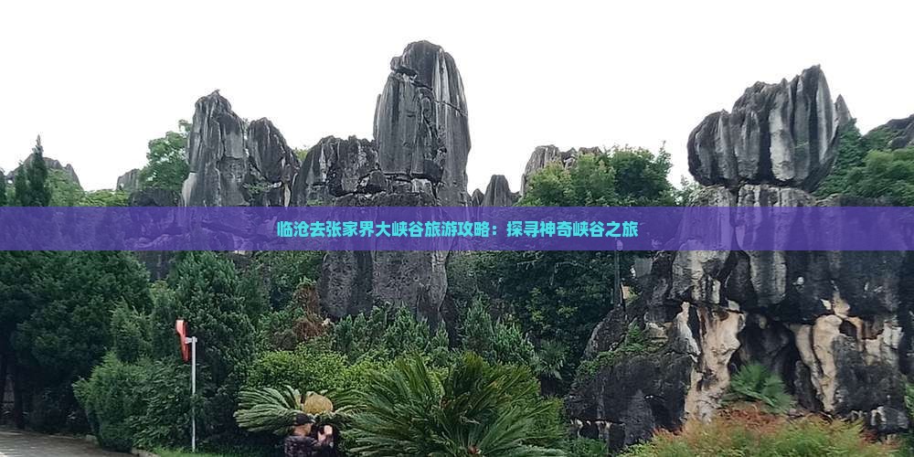 临沧去张家界大峡谷旅游攻略：探寻神奇峡谷之旅