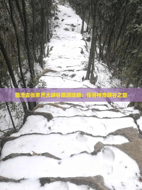 临沧去张家界大峡谷旅游攻略：探寻神奇峡谷之旅