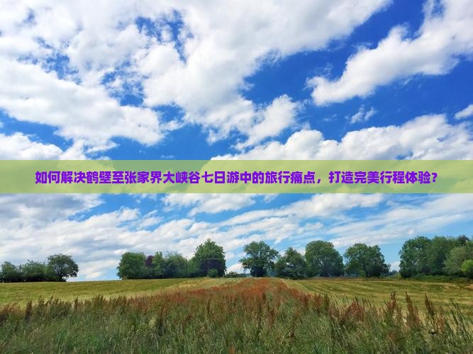 如何解决鹤壁至张家界大峡谷七日游中的旅行痛点，打造完美行程体验？