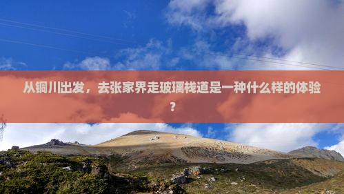 从铜川出发，去张家界走玻璃栈道是一种什么样的体验？