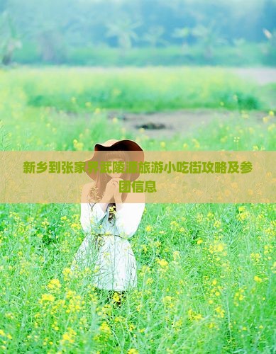 新乡到张家界武陵源旅游小吃街攻略及参团信息