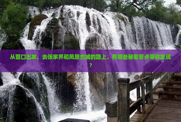 从营口出发，去张家界和凤凰古城的路上，有哪些秘密景点等你发现？