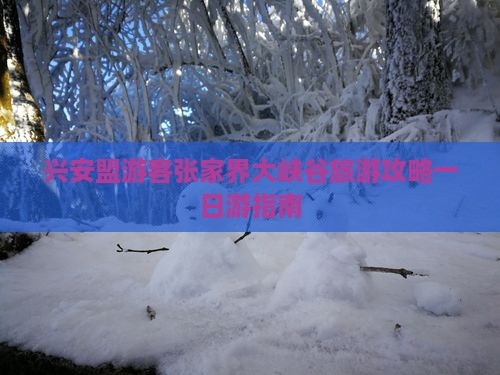 兴安盟游客张家界大峡谷旅游攻略一日游指南