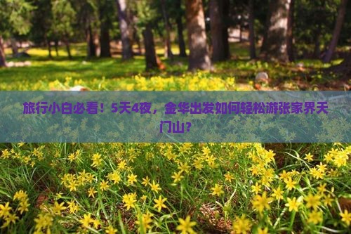旅行小白必看！5天4夜，金华出发如何轻松游张家界天门山？