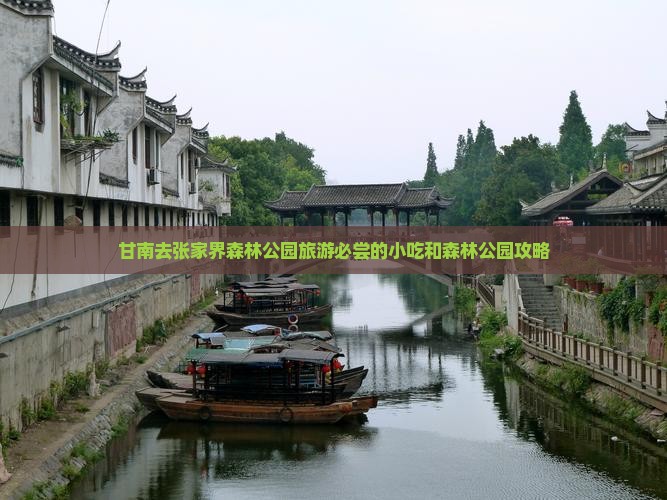 甘南去张家界森林公园旅游必尝的小吃和森林公园攻略