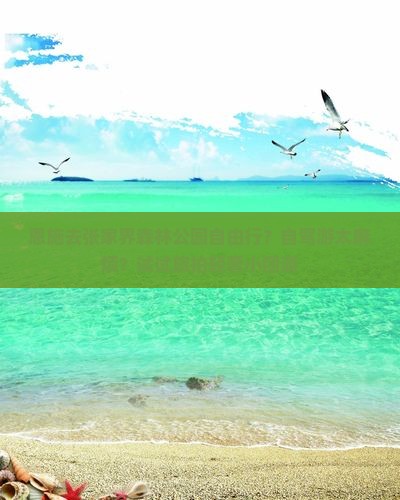 恩施去张家界森林公园自由行？自驾游太麻烦？试试旅拍轻奢小团游