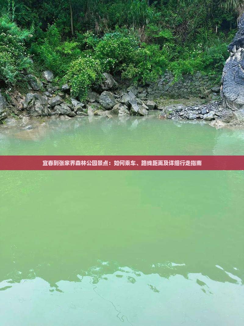 宜春到张家界森林公园景点：如何乘车、路线距离及详细行走指南