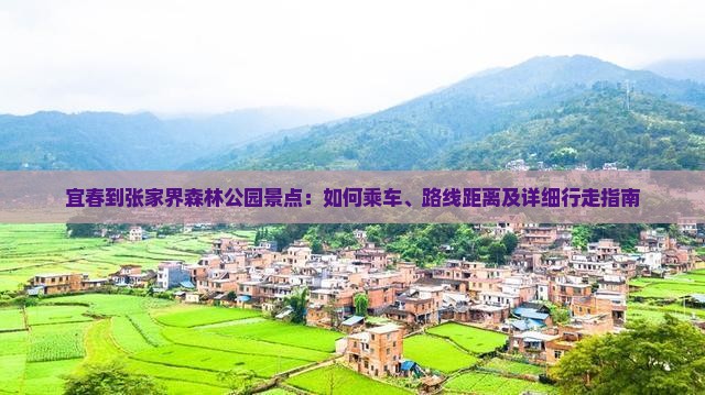 宜春到张家界森林公园景点：如何乘车、路线距离及详细行走指南