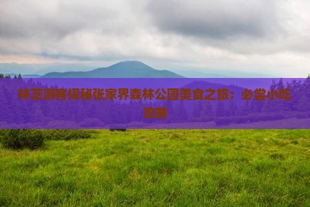 林芝游客探秘张家界森林公园美食之旅：必尝小吃攻略