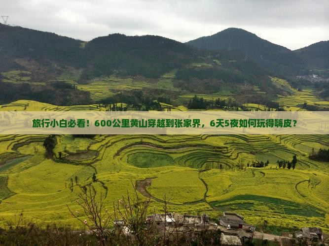 旅行小白必看！600公里黄山穿越到张家界，6天5夜如何玩得嗨皮？