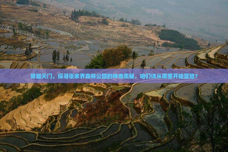 穿越天门，探寻张家界森林公园的神奇奥秘，咱们该从哪里开始冒险？