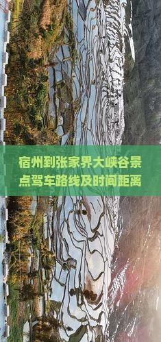 宿州到张家界大峡谷景点驾车路线及时间距离查询