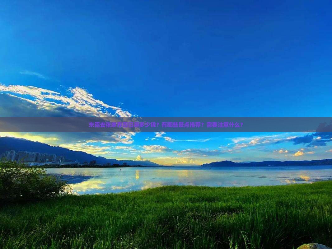 东莞去张家界四日游多少钱？有哪些景点推荐？需要注意什么？