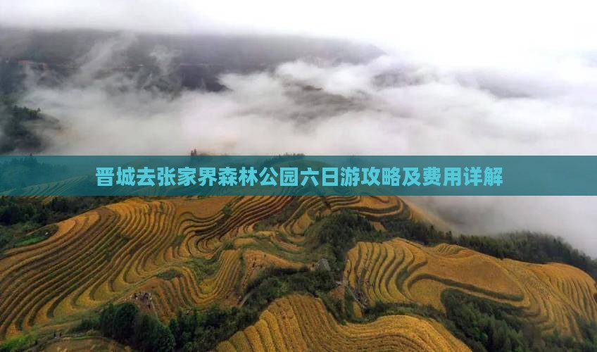 晋城去张家界森林公园六日游攻略及费用详解