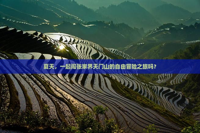 夏天，一起闯张家界天门山的自由冒险之旅吗？