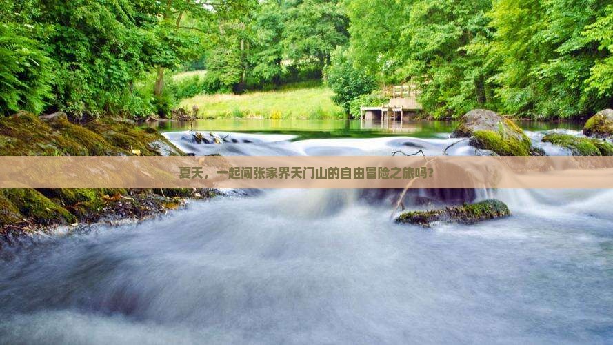 夏天，一起闯张家界天门山的自由冒险之旅吗？