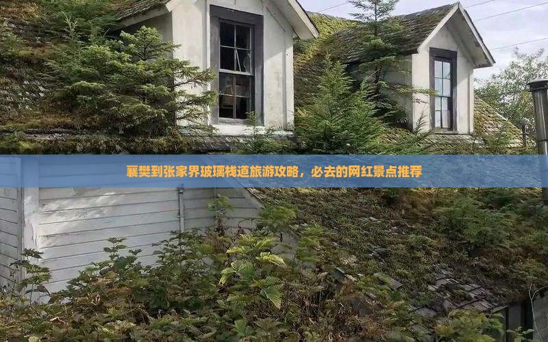 襄樊到张家界玻璃栈道旅游攻略，必去的网红景点推荐