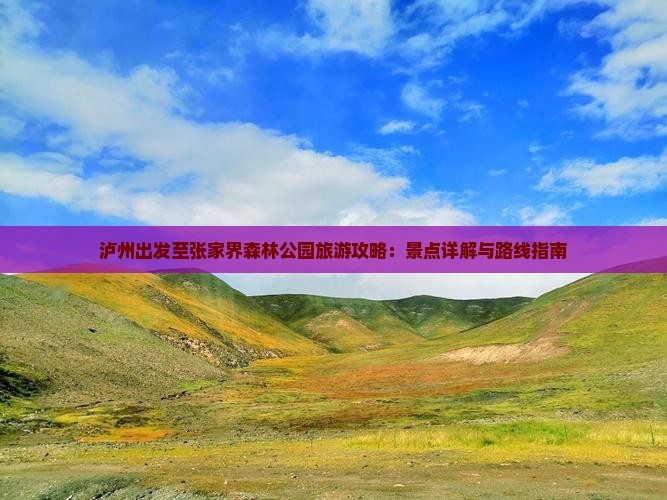 泸州出发至张家界森林公园旅游攻略：景点详解与路线指南
