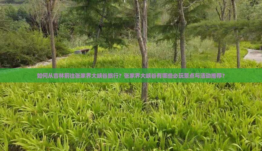 如何从吉林前往张家界大峡谷旅行？张家界大峡谷有哪些必玩景点与活动推荐？