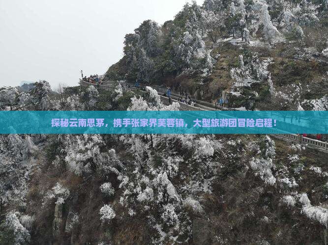 探秘云南思茅，携手张家界芙蓉镇，大型旅游团冒险启程！