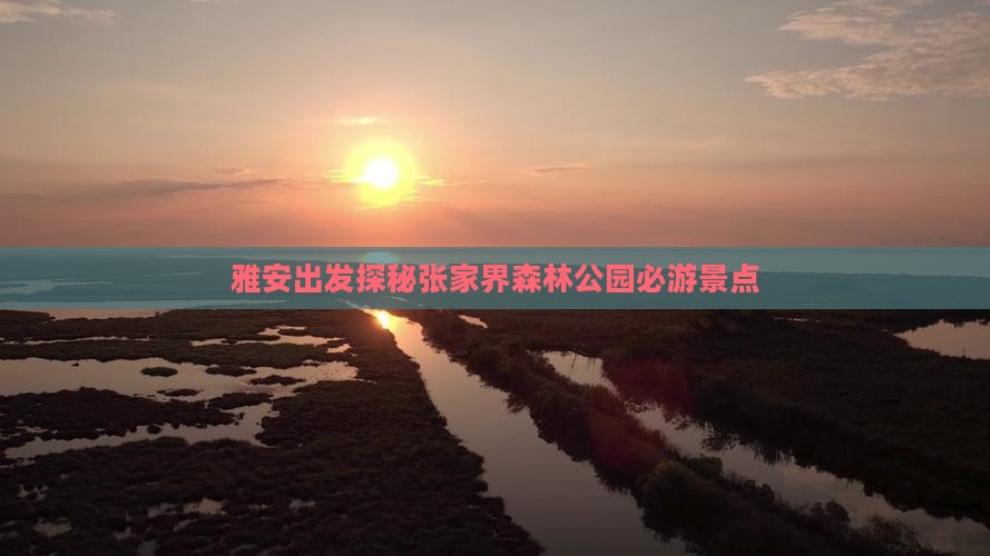 雅安出发探秘张家界森林公园必游景点